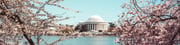 Search & book flights to United States