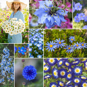 Blue Ribbon - Blue Flower Seed Mix