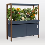 The Rise Garden