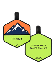 Mountain Silicone Dog ID Tag