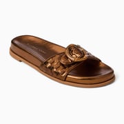 Essex Slide