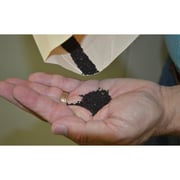 Blackhawk Arrowleaf Clover Seed