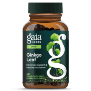 Ginkgo Leaf