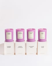Lilac Haze Collection Bundle