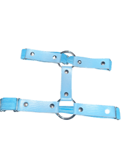 Baby blue leg garter