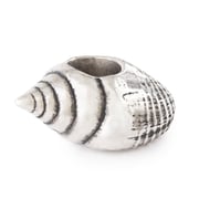Conch’s Call