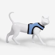 Cat Harness & Leash Kit