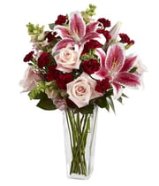 Dark Beauty Stargazer Lily Bouquet at Send Flowers