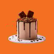 Tim-Tam Time