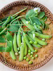 Pea, Garden Sweet