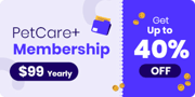 Bravecto Plus