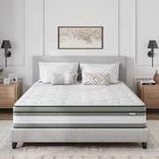 Novilla 12" Vitality Hybrid Mattress