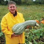 Squash Green Striped Cushaw Seed