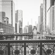 Chicago River Bridges