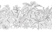 Hand drawn branches and leaves of tropical plants.Monochrome line...