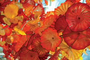 Chihuly Garden and Glass tickets