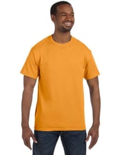 Hanes 5250T Men's Authentic-T T-Shirt