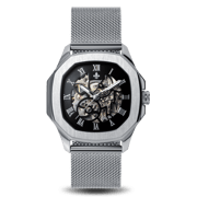 The Avalon Silver + Silver Mesh Strap