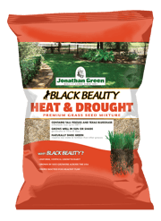 Black Beauty® Heat and Drought Resistant Grass Seed