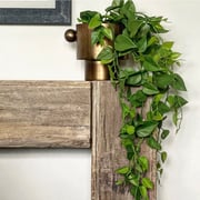 39" Philodendron Leaf Hanging Bush
