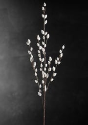 Artificial Pussy Willow Branch 31in (Set of 12 branches)