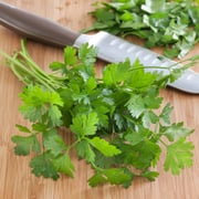 Italian Flat Parsley (2 Pack)