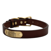 Personalized Standard Dog Collar