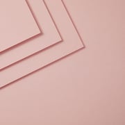 Blush ColorWheel Cardstock 8.5" x 11" - 10 Sheets