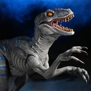 Raptor Display