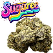 XL Sugaree Kush Exotic Sativa THCa Flower 10g Jar Hybrid 32%