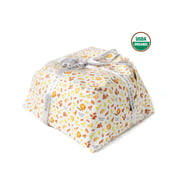 Colomba