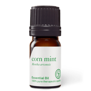 Corn Mint (Wild Mint) Oil
