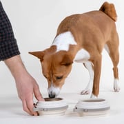 Nomad Collapsible Dog Bowl Set of 2