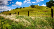 Get United's best fares today on flights from Grand Rapids to Fresno