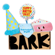 Birthday BarkBox (Toy-Only) - One Month Gift Box