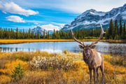 Get United's best fares today on flights from Houston to Canada