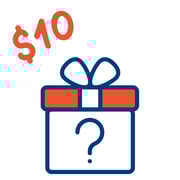 $10 Mystery Box of Goodness
