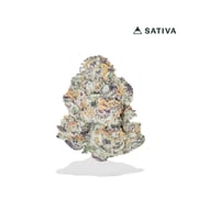 Guava Kush THCA Flower