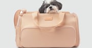 Passenger Travel Carrier