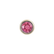 Bezel Set Birthstone Stud