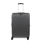 Check-In Luggage