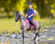 English Horse and Rider