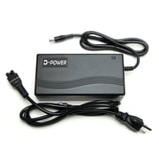 Lectric Battery Charger