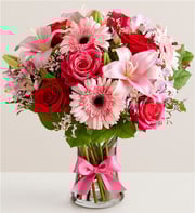 Fields of Europe® Romance