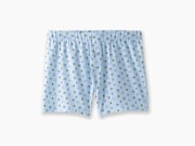 Slim Fit Boxer ~ Light Blue Doghouse