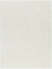 Zechariah Modern Ivory/Off-White Area Rug