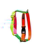 Memphis Harness