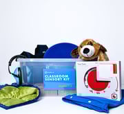 Classroom Sensory Kits