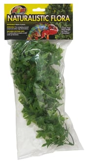 Zoo Med Naturalistic Flora Bush Congo Ivy Terrarium Plant