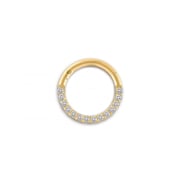 Front Pave Seamless Hoop